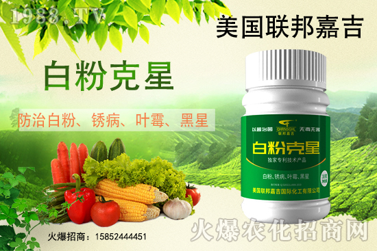 ׷۲݁u(f)l(f)βô׷۲]