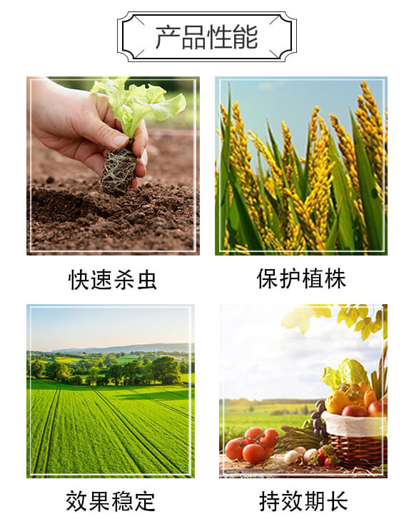 6%四聚乙醛(500克)-戰(zhàn)螺-凱諾生物_04