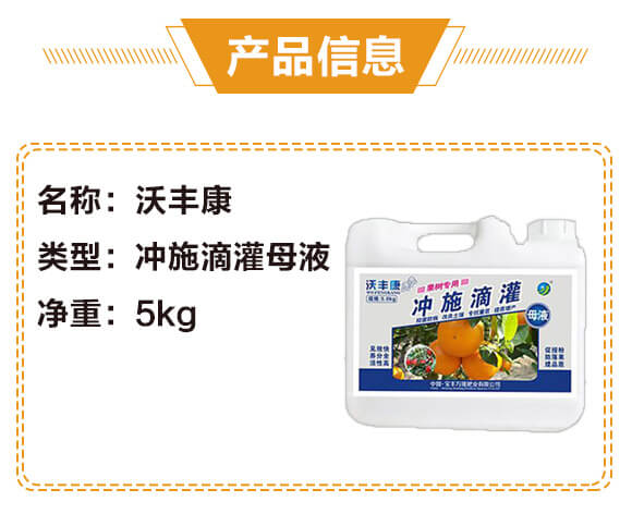 䌣Û_ʩιĸҺ-S-Sf¡_02