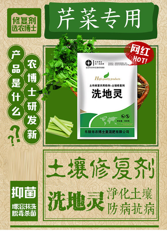 ޏ(f)۲ˣ-ϴ`-r(nng)ʿ_01