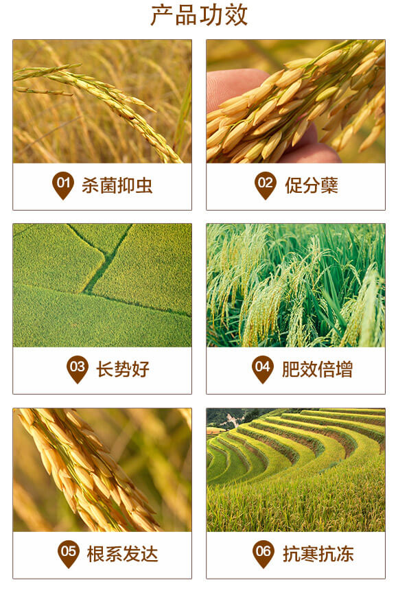 L(zhng)Чጓ-+\ˮ-r(nng)_03