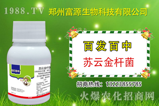 ޻xΣ@ЩPIՈץo