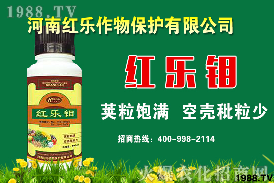 紅樂(lè)鉬-紅樂(lè)