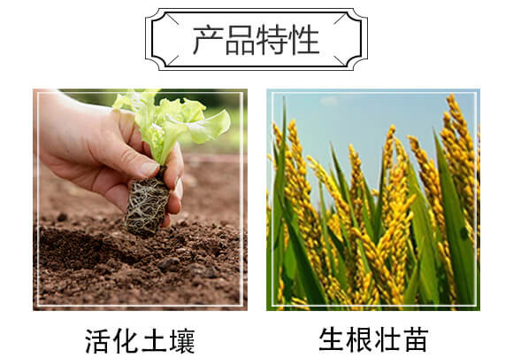 ɺ塤ЙC(j)-ِ_(ki)04