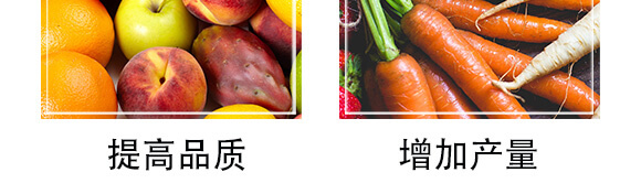 ɺ塤ЙC(j)-ِ_(ki)07