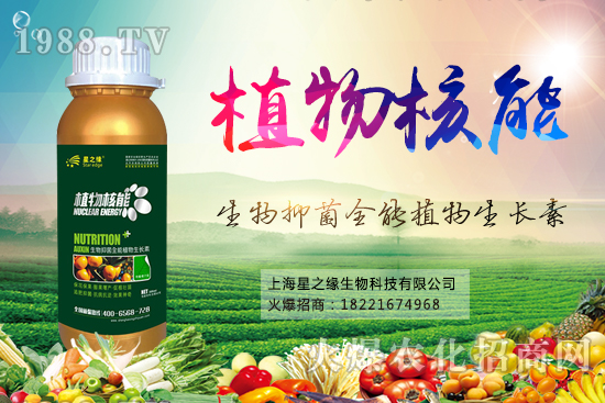 夏季果樹水肥管理