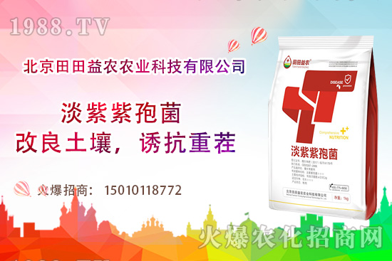 tc(din)Щtļι