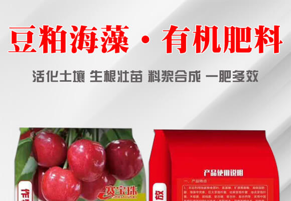 ɺ塤ЙC(j)-ِ_(ki)01