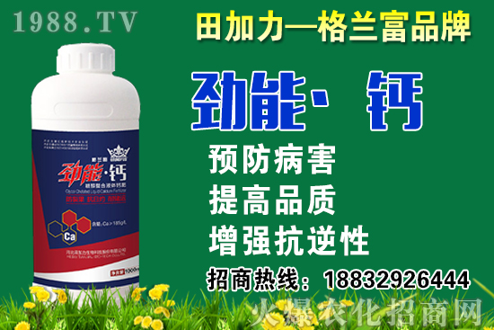 2020}ʲôr(sh)N}NֲҪעЩ(wn)}