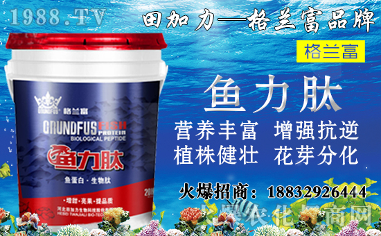 䌦B(yng)cЩʩ`^(q)_ʩʷ