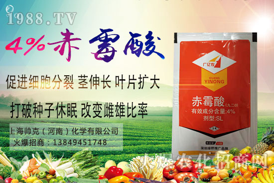 魔芋種植要點(diǎn)有哪些?魔芋市場價格及種植前景分析!