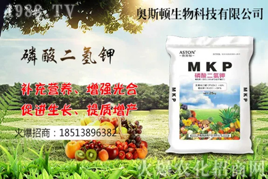 ĂƷNӸó҇Ӯa(chn)ؼƷNЩ