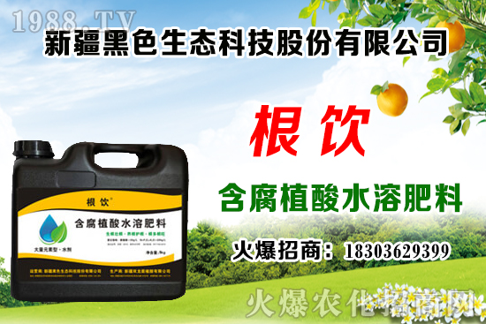 立秋后露地大白菜播種時(shí)間,管理需注意什么問題?