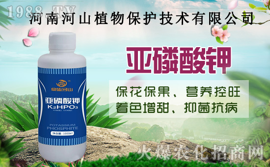 小麥政策加碼!扎堆賣糧!2020年8月14日小麥價(jià)格行情!