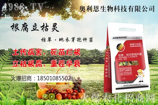 Sʲô(ji)S˷NֲB