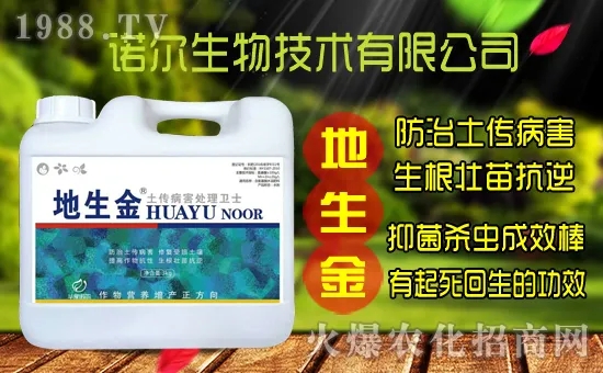 S˷NôɼS˷NrXһꣿ