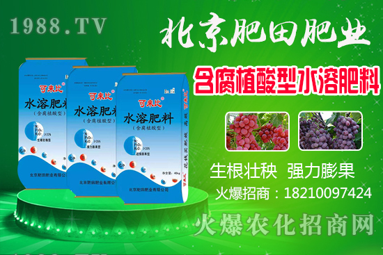 J̮a(chn)ģJʲôr(sh)xJ