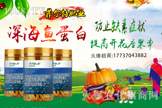 青梗菜種植時(shí)間,青梗菜栽培及管理關(guān)鍵要點(diǎn)!