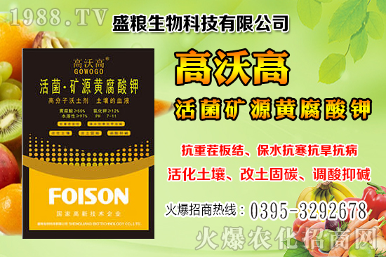 ˅a(chn)ЧǶ˅ķNֲcg(sh)