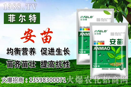 \Lh(hun)Ҫ󣬟\Nֲռg