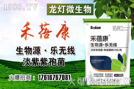 tڷ۷t¶ʹNֲкβͬ