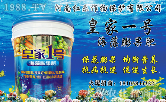 花椒產(chǎn)地主要在哪?花椒價(jià)格多少錢一斤?種植前景及效益分析!