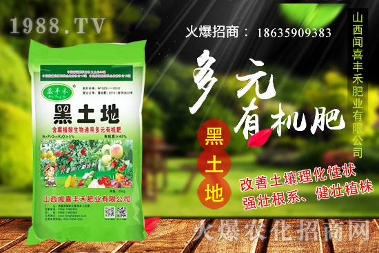 生姜如何選種,生姜什么時(shí)候種植?種植前需注意哪些問題?