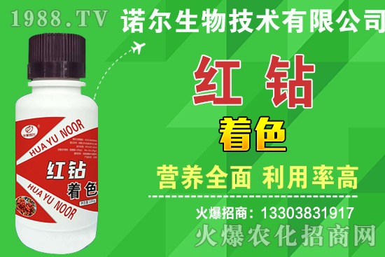 tʩЧ2020tʩʕr(sh)gʩʷ