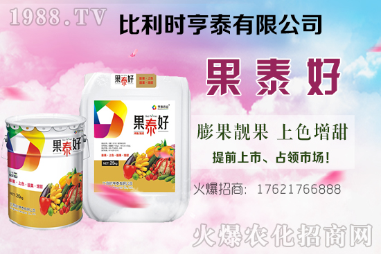 油茶樹的價(jià)格怎樣?種植前景如何?油茶樹畝產(chǎn)效益分析!