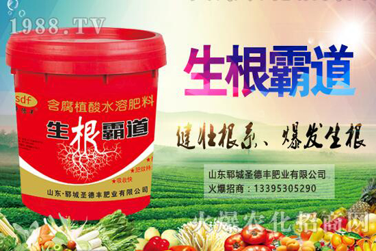 (sh)Nֲ(ji)ʲôr(sh)򣿻(sh)NֲЩ