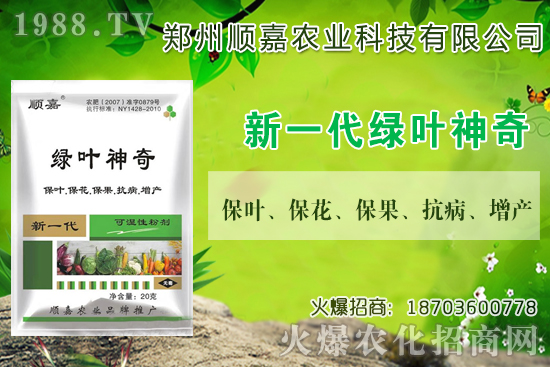 小麥價(jià)格連連上漲!現(xiàn)在一斤多少錢(qián)?