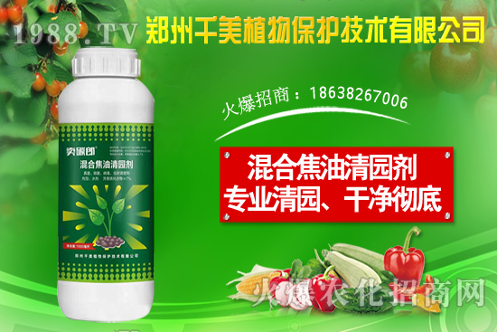 金錢草種子怎么種?金錢草種植方法介紹!