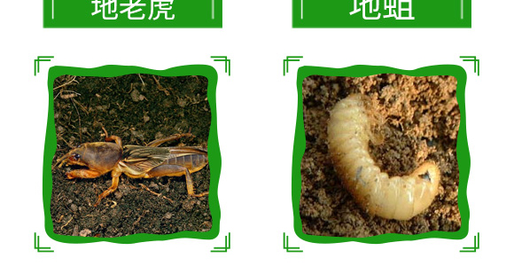 20%氟氰·辛硫磷-帥方-加號(hào)農(nóng)業(yè)_12