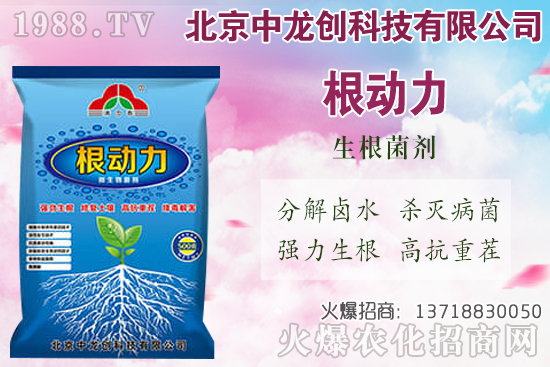 白蘿卜的需肥特性有哪些,白蘿卜施肥技術(shù)要點!