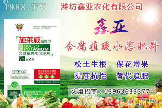 Zʳqr2020917Сr