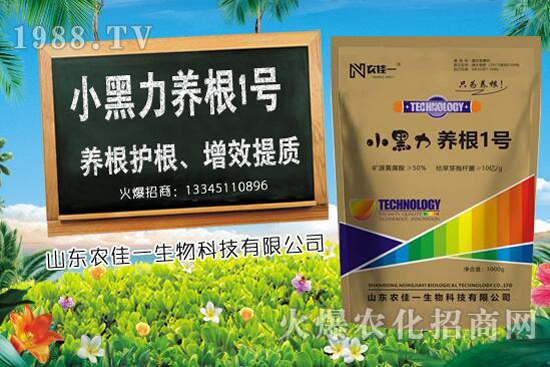 𽷷Nֲr(sh)x÷ʩʷЩ