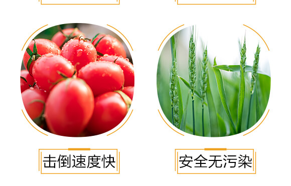 500ml進(jìn)口專(zhuān)用殺螨助劑-斑狄-科利農(nóng)_06