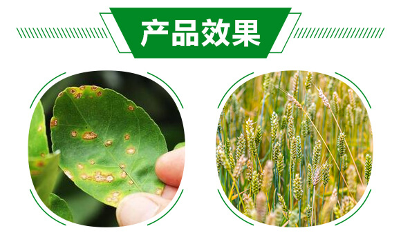 ׷Ѭ-o(w)120-ïr(nng)I(y)_05