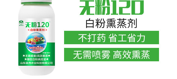 ׷Ѭ-o(w)120-ïr(nng)I(y)_04