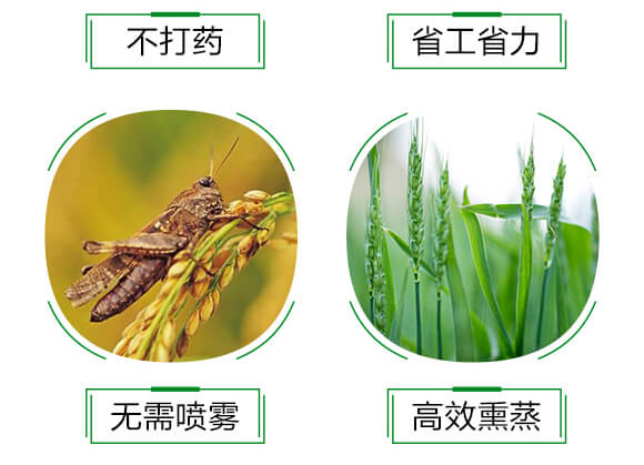 ׷Ѭ-o(w)120-ïr(nng)I(y)_06