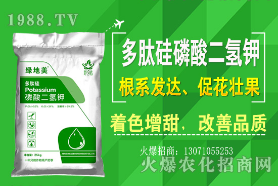 ۲˵ă(yu)ƷNЩ۲˷NֲL(zhng)h(hun)Nֲg(sh)