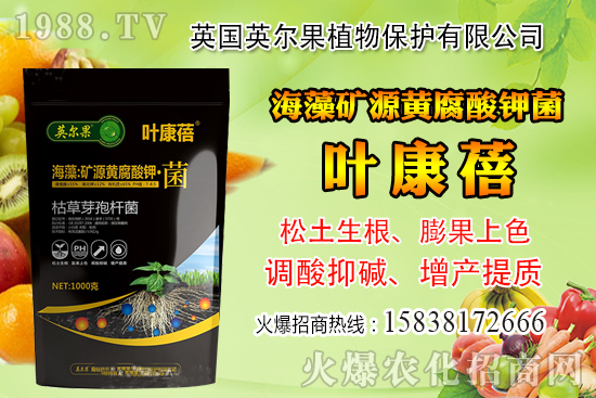 怎么判斷玉米含水量?玉米籽粒含水量感官判定經(jīng)驗(yàn)!