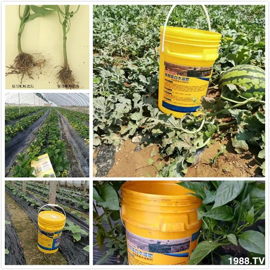 水溶肥市場大變革!?海藻精、魚蛋白將被它代替!1000多用戶鼎力推薦!