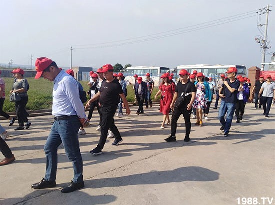 水溶肥市場大變革?海藻精、魚蛋白將被它代替!1000多用戶鼎力推薦!