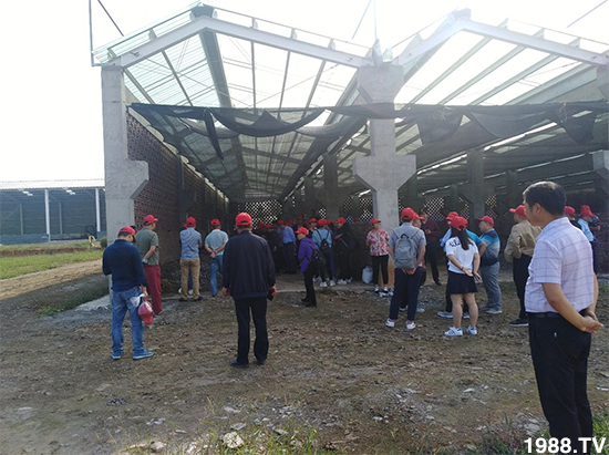 水溶肥市場大變革!?海藻精、魚蛋白將被它代替!1000多用戶鼎力推薦!