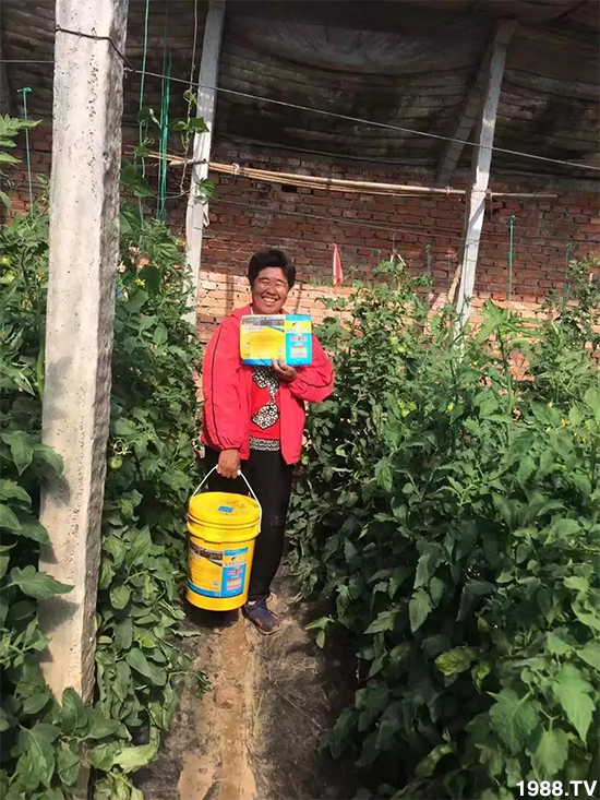 水溶肥市場大變革?海藻精、魚蛋白將被它代替!1000多用戶鼎力推薦!