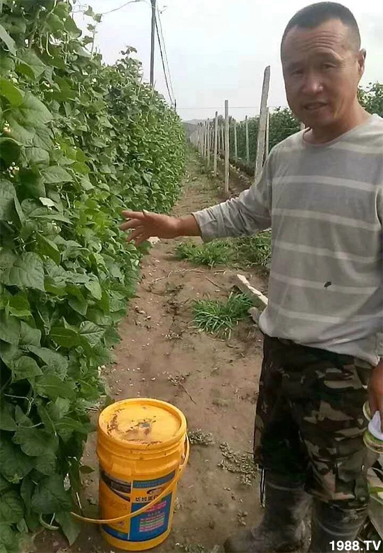 水溶肥市場大變革。亢T寰、魚蛋白將被它代替!1000多用戶鼎力推薦!