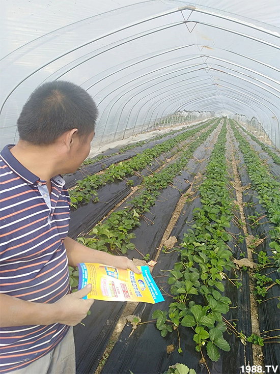 水溶肥市場大變革?海藻精、魚蛋白將被它代替!1000多用戶鼎力推薦!