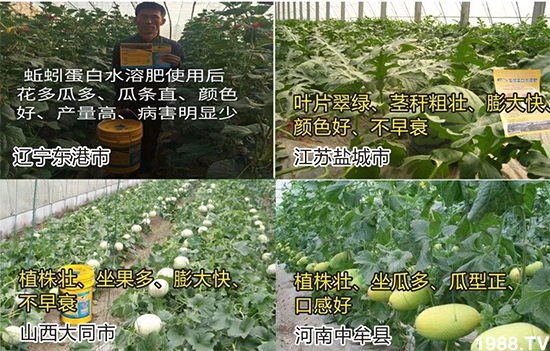 水溶肥市場大變革。亢T寰、魚蛋白將被它代替!1000多用戶鼎力推薦!