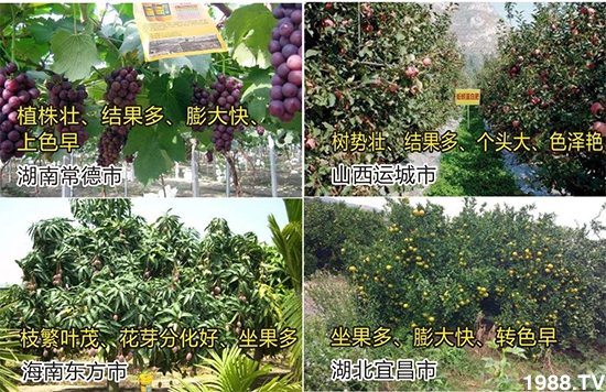 水溶肥市場大變革?海藻精、魚蛋白將被它代替!1000多用戶鼎力推薦!